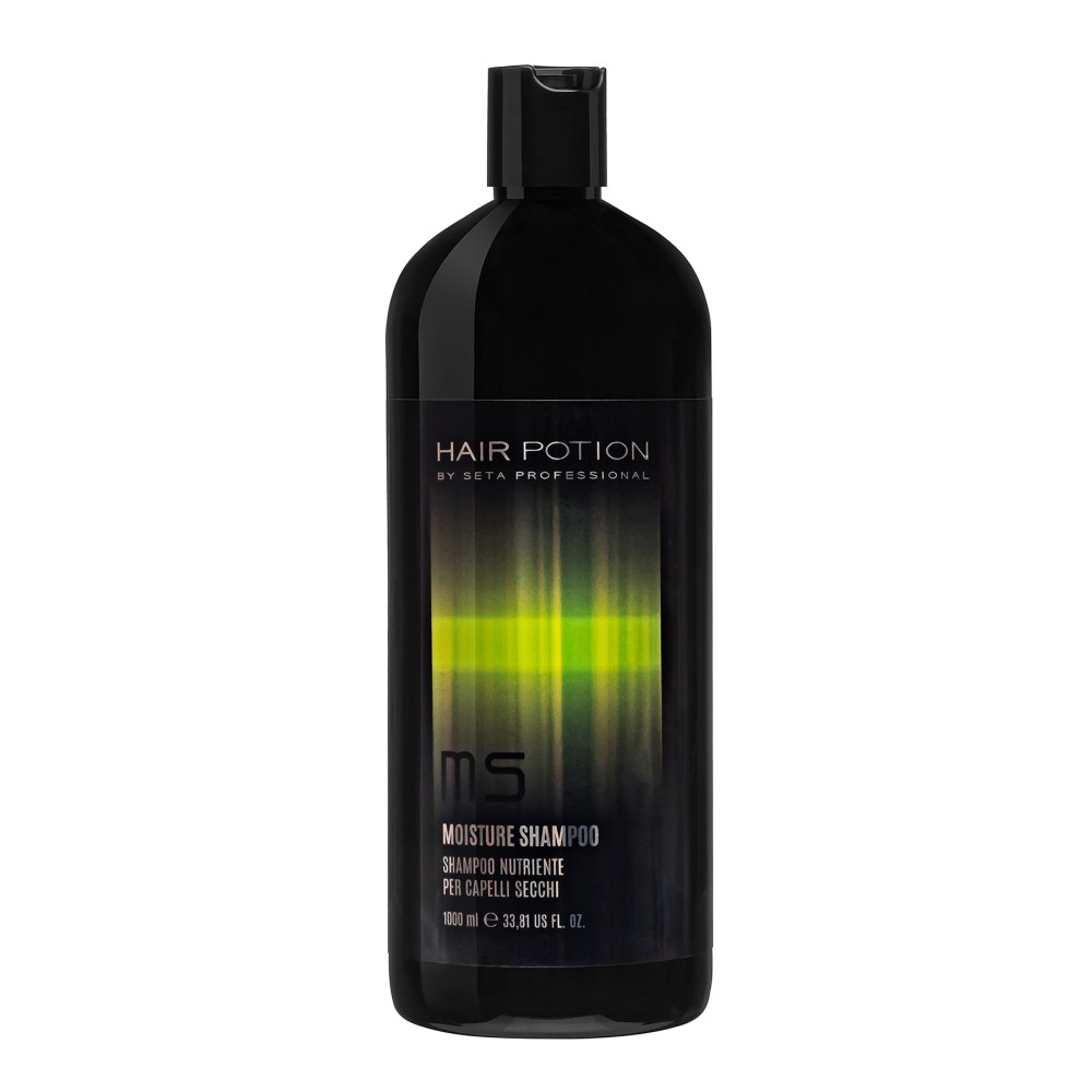 Șampon cu Ulei de Argan Pentru Par Uscat si Dezhidratat Hair Potion Pro Moistur 1000 ml  
