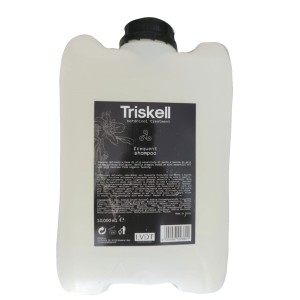 Sampon pentru Uz Frecvent Triskell Botanical Treatment 10.000 ml