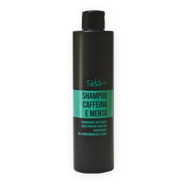 Șampon impotriva Matretii Hair Potion 250 ML