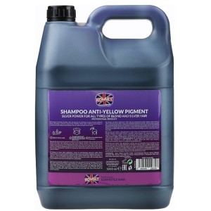SAMPON PROFESIONAL NO YELLOW SILVER POWER PENTRU PAR BLOND SI GRI 5L