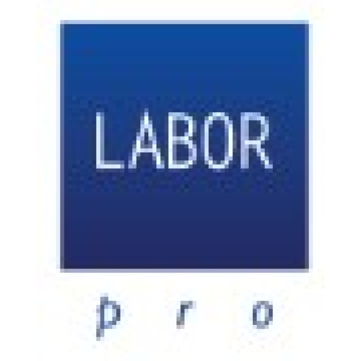 Perie pentru păr VENT BRUSH - cu perii de mistret