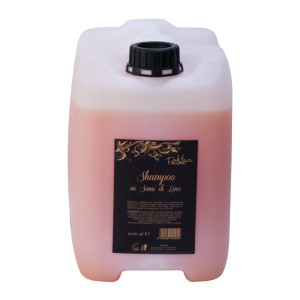  Sampon pentru Par Colorat cu Proteine de In Hair Potion 10.000 ML