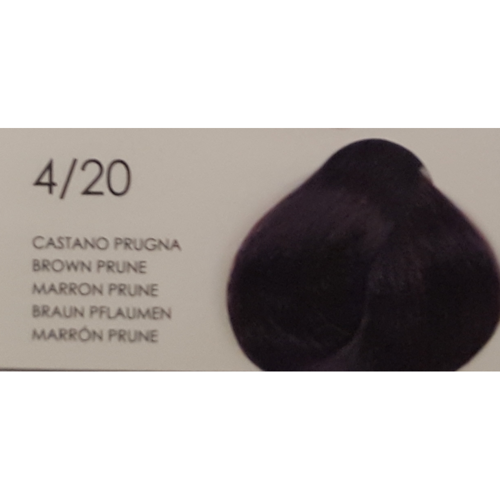 Vopsea de par 4/20  Hair Potion 120ml Color Argan 