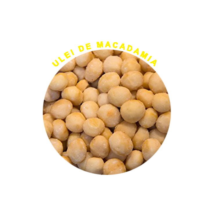 Masca Hidratanta si Nutrienta pentru Par Uscat cu Ulei de  Argan Hair Potion 1500 ML