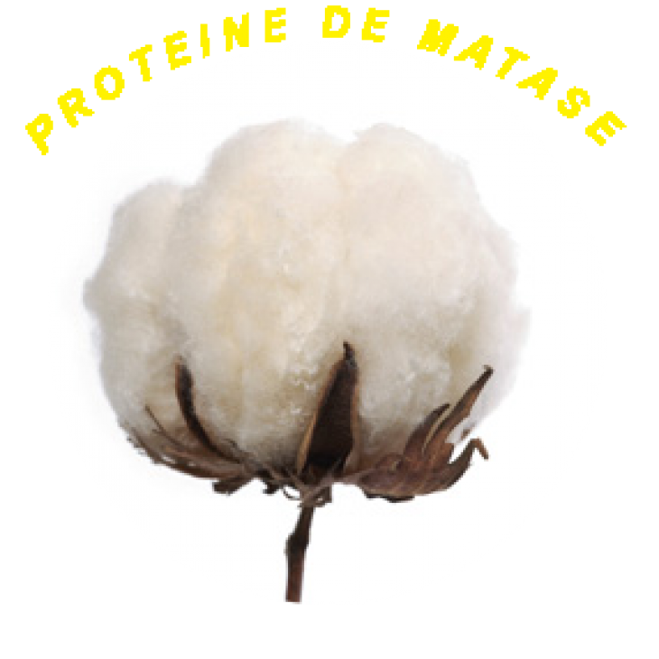 Masca Hidratanta si Nutrienta pentru Par Uscat cu Ulei de  Argan Hair Potion 1500 ML