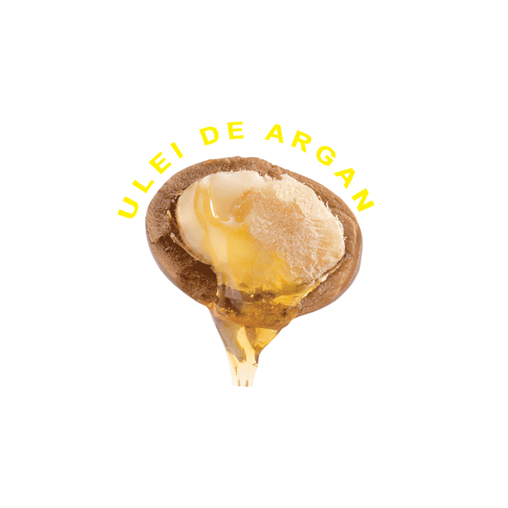 Masca Hidratanta si Nutrienta pentru Par Uscat cu Ulei de  Argan Hair Potion 1500 ML